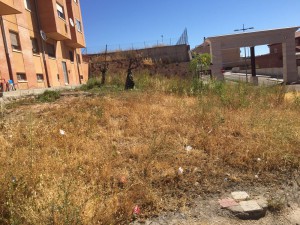 Ciudadanos Zamora situación desbroces barrio Candelaria (julio 2016)