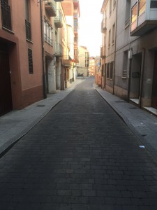 Ciudadanos Zamora calle Sancho IV (barrio la Lana) julio 2016