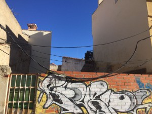 Ciudadanos Zamora pintadas en San Lázaro (19-01-2017)