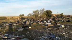 Ciudadanos Zamora residuos en vertedero Las Chanas (enero 2017)
