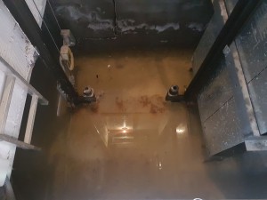 Ciudadanos Zamora (ascensores inundados ARU Bloques) (28-03-2017