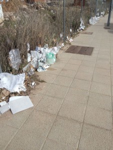 Ciudadanos Zamora suciedad en zona mercadillo (28-02-2017)