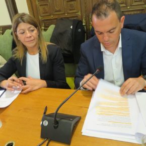 Aprobada nuestra moción para revitalizar la calle Balborraz