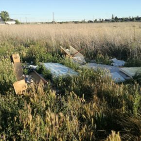 Ciudadanos Zamora alerta sobre el abandono y suciedad de Rabiche donde se acumula la basura y hay presencia de roedores y culebras