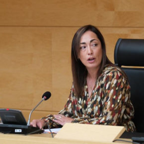 Ciudadanos reivindica la Ley LGTBI de Castilla y León tras el fracaso de la Ley Trans nacional por los roces entre PSOE y UP