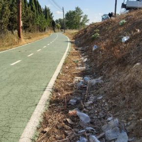 Ciudadanos Zamora denuncia la acumulación de residuos junto al paseo de la Aldehuela