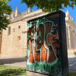 Ciudadanos Zamora denuncia dejadez y falta de soluciones ante las pintadas en el casco antiguo